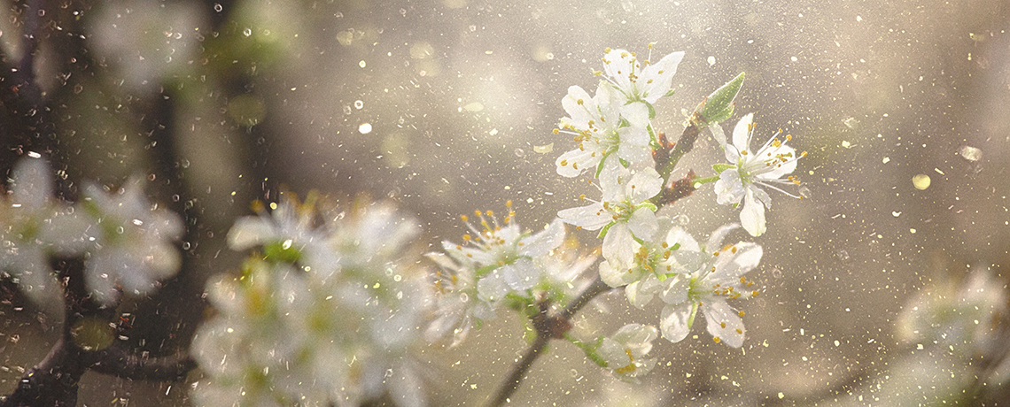 Rhinite_allergique_Médicaments_Allergie_au_pollen_Sun_Store_Pharmacie