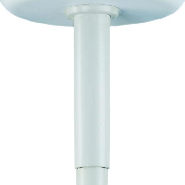 , immagine principale