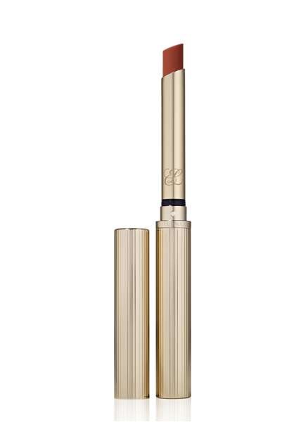 Estée Lauder Pure Color Explicit Ultra Matte No 106