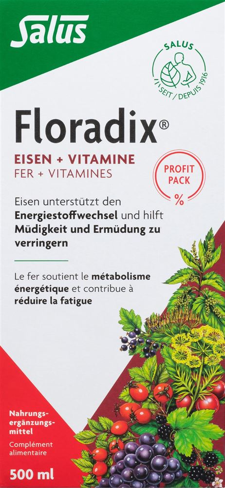 Floradix Eisen + Vitamine Profit Pack Fl 500 ml