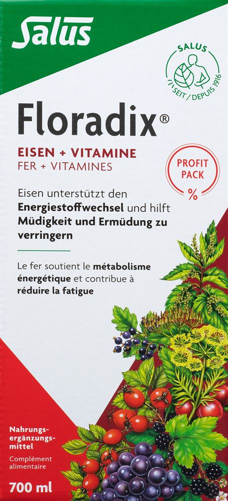 Floradix Eisen + Vitamine Profit Pack Fl 700 ml