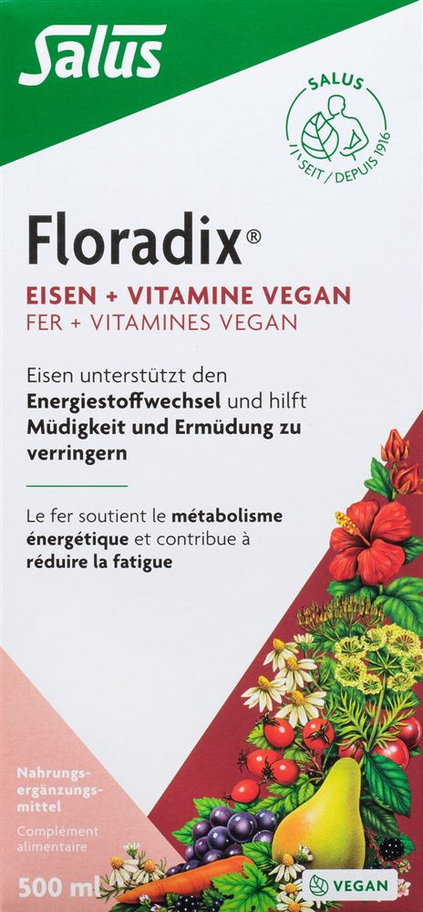 Floradix Vegan Eisen + Vitamine Fl 500 ml
