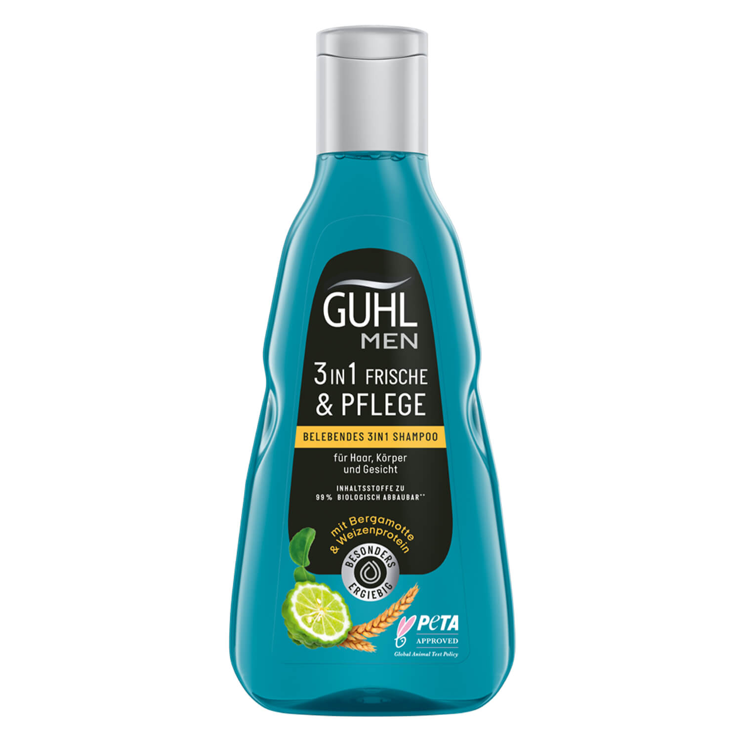 Guhl Men 3in1 Shampoo Frische & Pflege Fl 250 ml