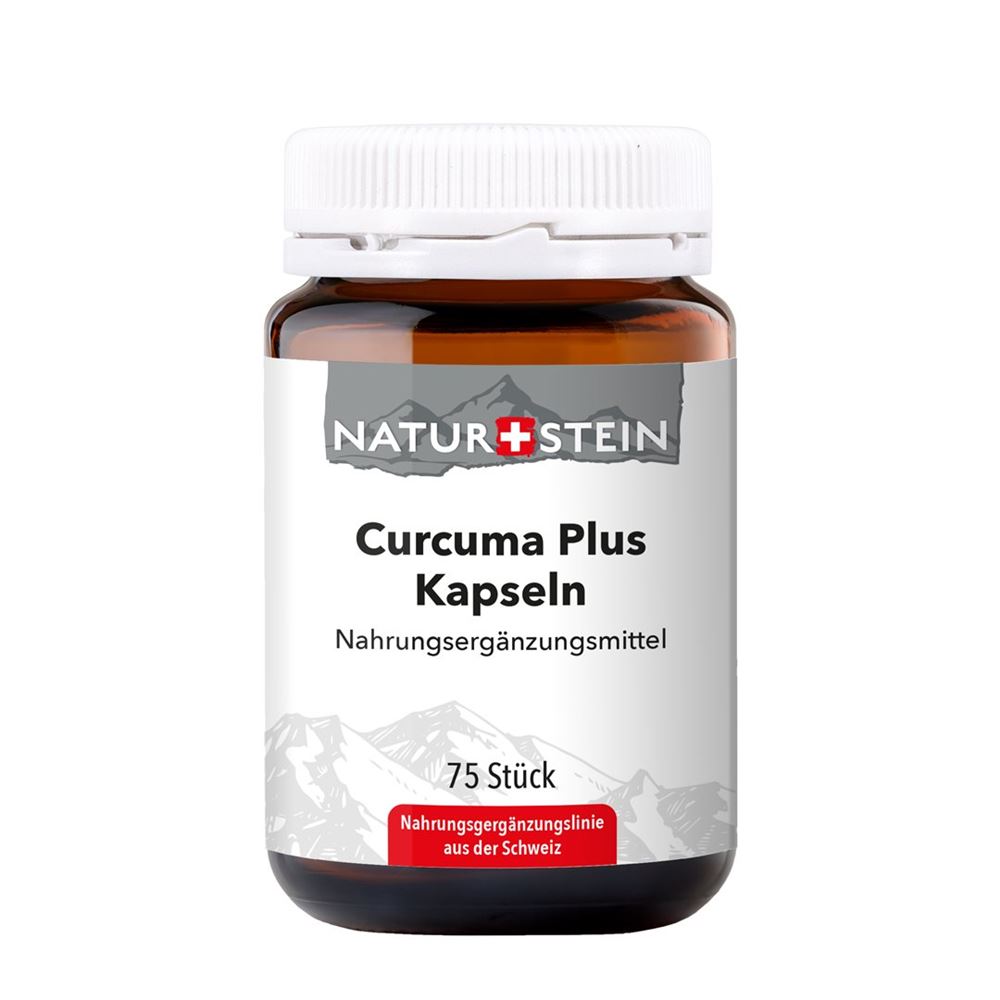 Naturstein Curcuma plus Kaps Glasfl 75 Stk