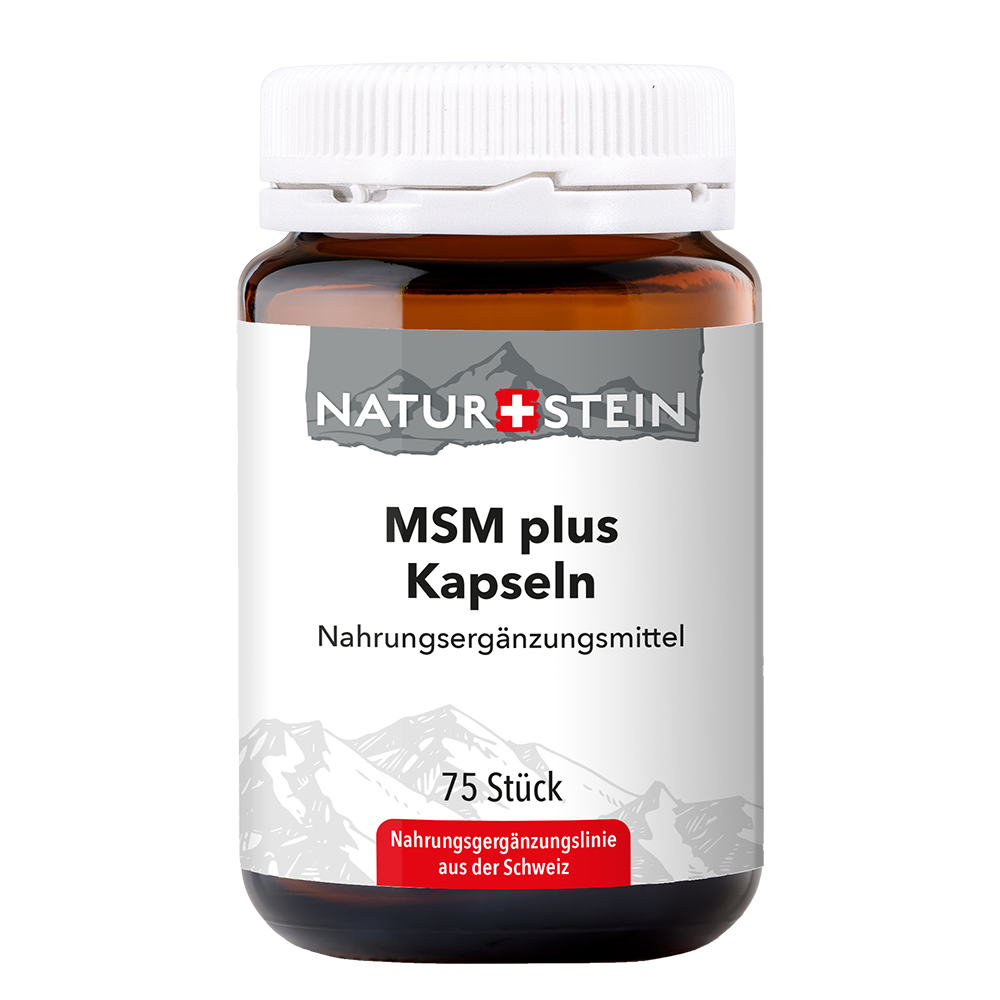 Naturstein MSM plus Kaps Glasfl 75 Stk