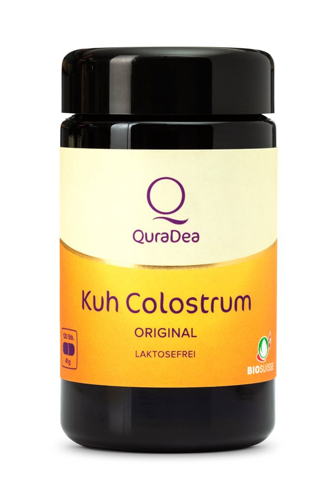 Quradea Kuh Colostrum Original Kapseln Bio Pasteurisiert 120 Stück