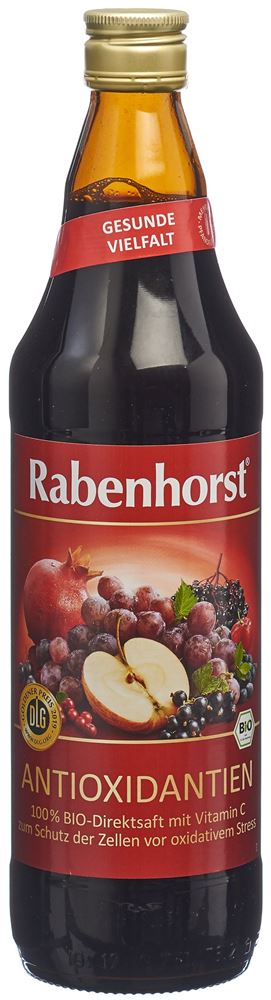 Rabenhorst Antioxidantien Saft Bio Fl 7.5 dl