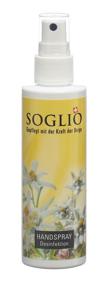 Soglio Handspray Fl 100 ml