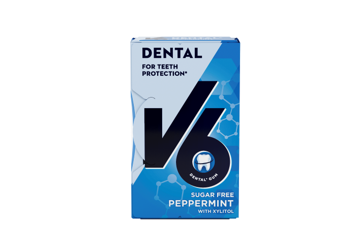 V6 Kaugummi Peppermint 12 x 10 Stk