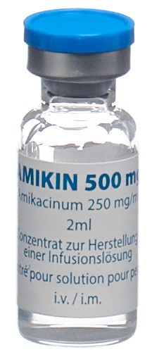 AMIKIN conc perf 500 mg/2ml flac 2 ml, image 2 sur 3