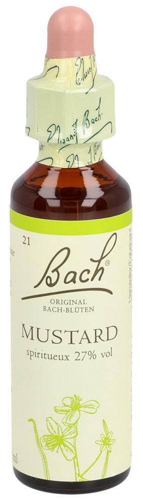 Original Bach-Blüten Bachblüten Original