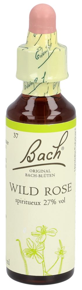 Original Bach-Blüten Bachblüten Original