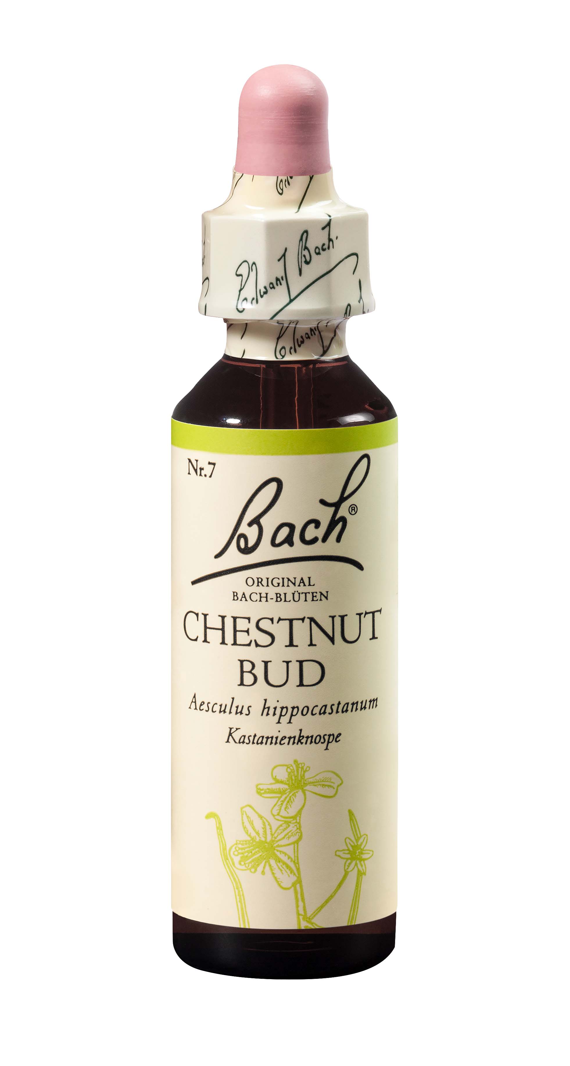 Fleurs de Bach Original Chestnut Bud, Hauptbild