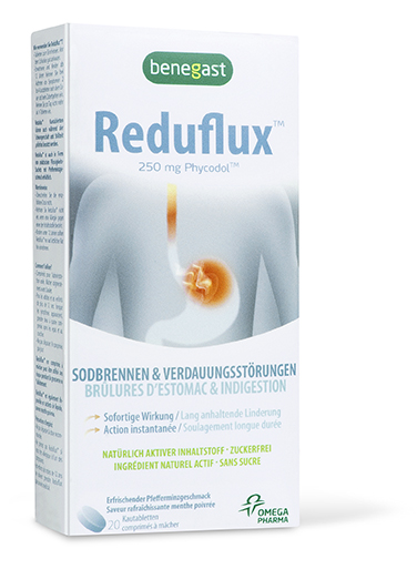 Benegast Reduflux, Hauptbild