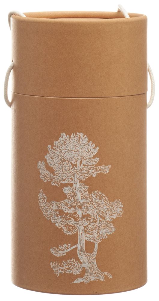 BERG&KRAFT Pinus Cembra bois de parfum Pine