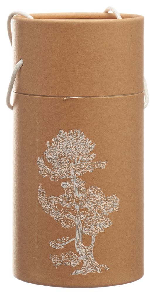 BERG&KRAFT Pinus Cembra Duftholz Globe