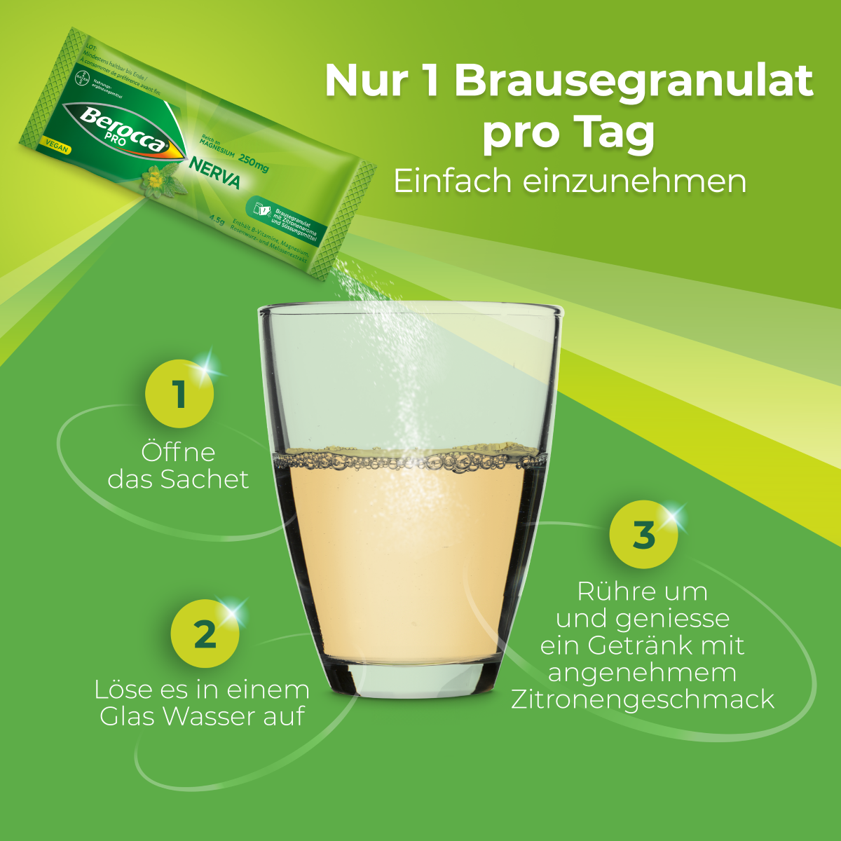 BEROCCA NERVA, Bild 2 von 6