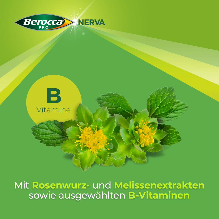 BEROCCA NERVA, image 4 sur 6