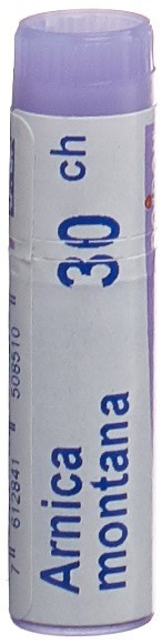 , immagine principale