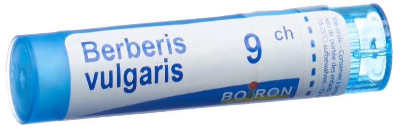 Boiron berberis vulgaris 9 CH, image principale