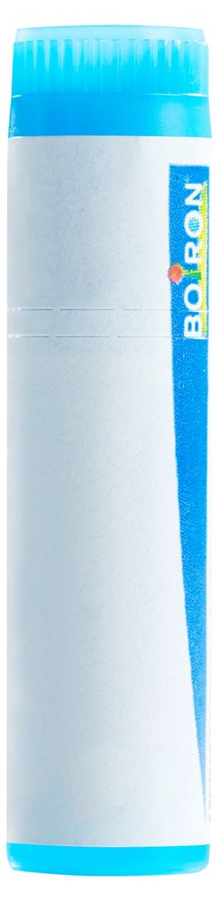 Boiron Influenzinum CH