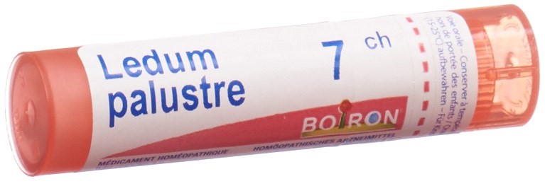 Boiron ledum palustre 7 CH