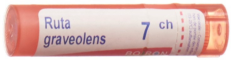 , immagine principale