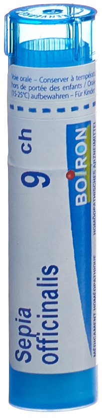 , immagine principale