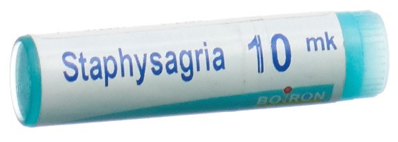 Boiron Staphysagria XMK, Hauptbild