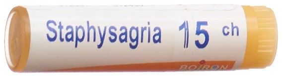 , immagine principale