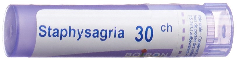 , immagine principale