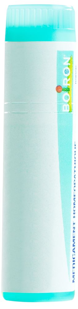 Boiron Sulfur 200 K, Hauptbild