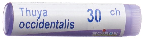 Boiron thuya occidentalis 30 CH, image principale
