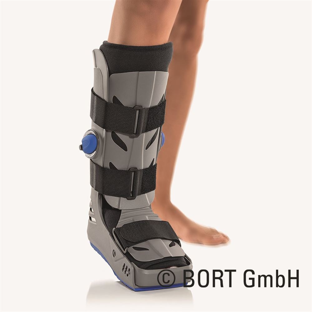 , immagine principale