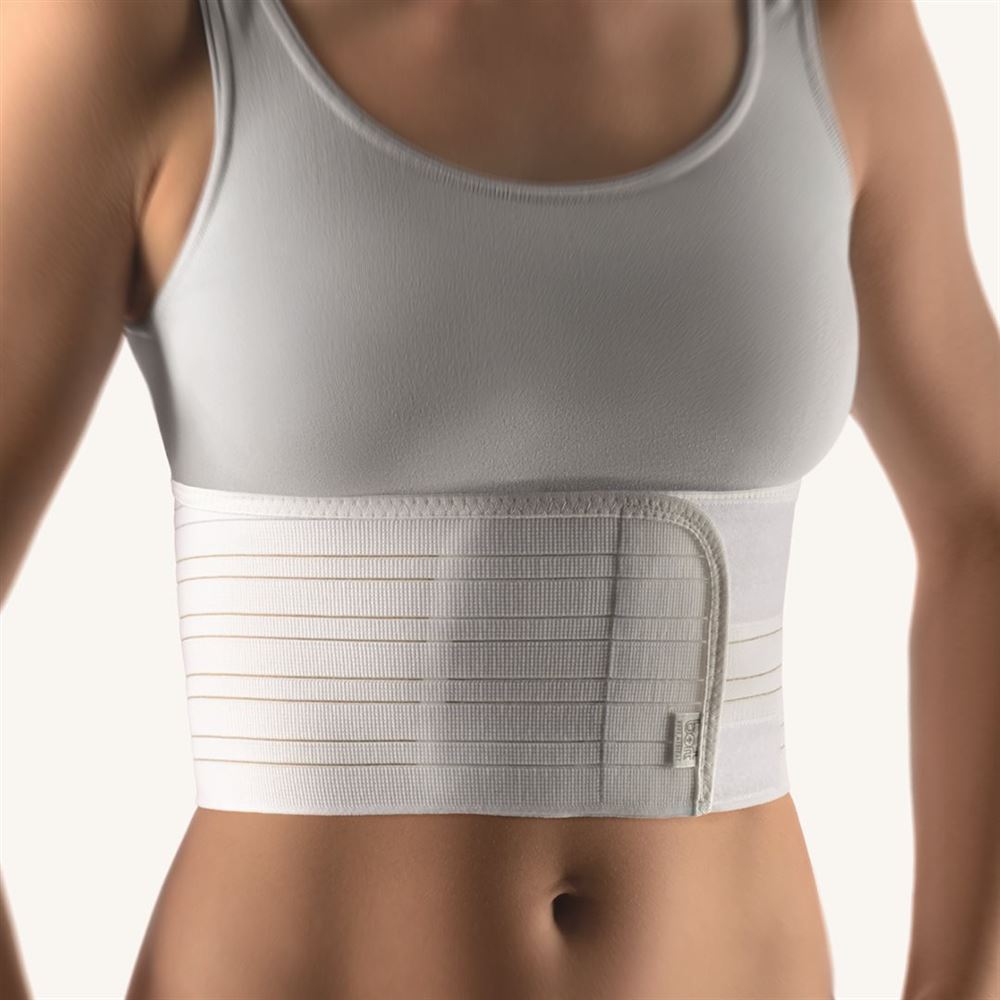 , immagine principale , immagine principale