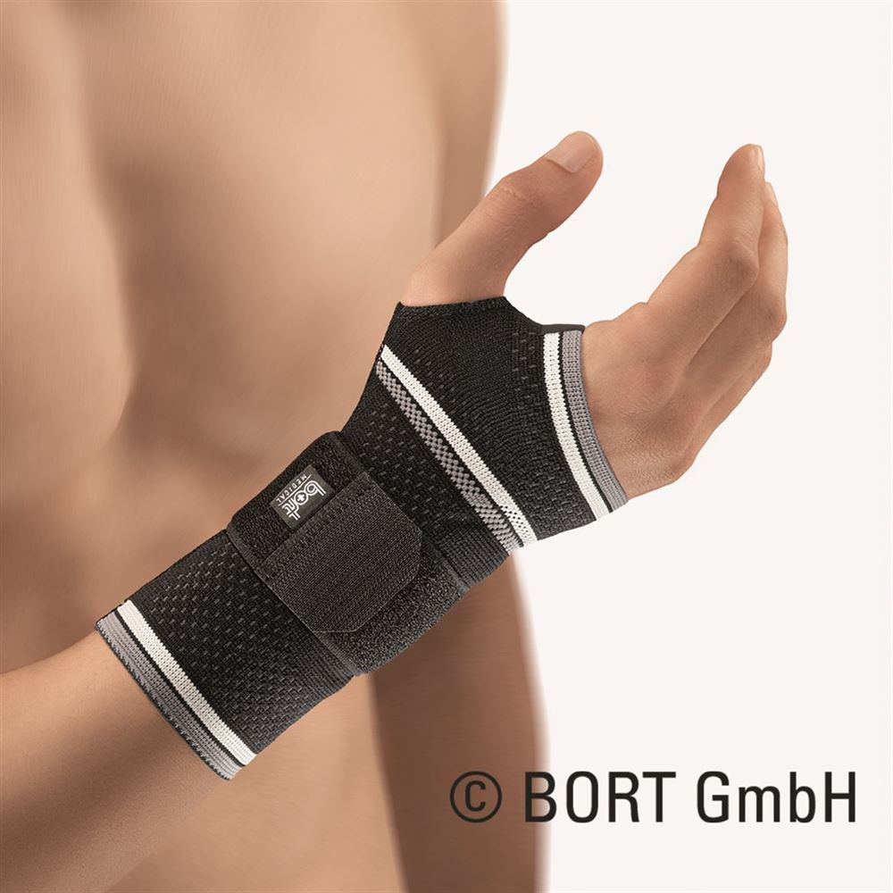 BORT ManuBasic, Hauptbild