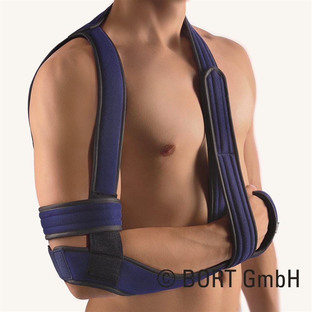 BORT selon Gilchrist, image principale BORT selon Gilchrist, image principale