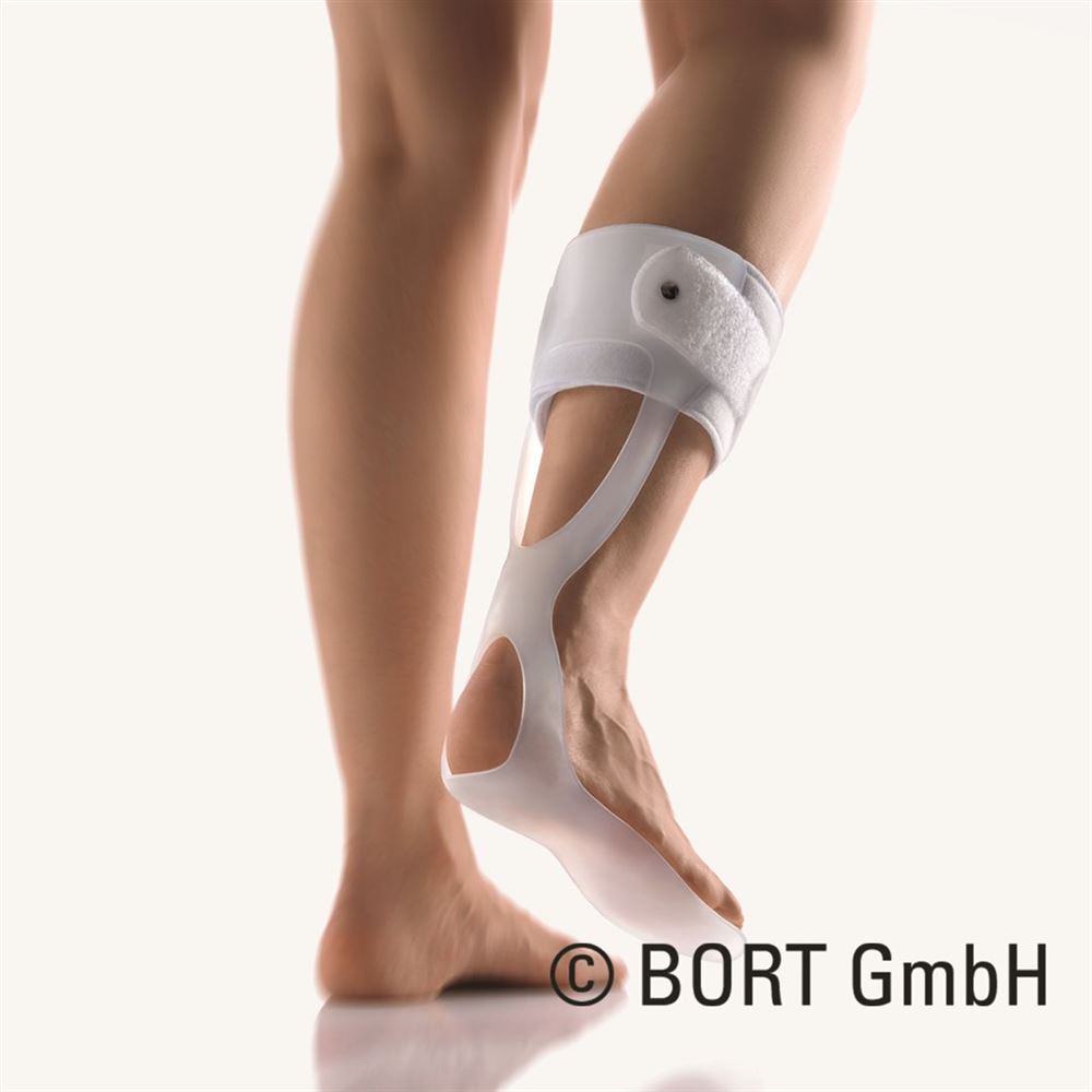 BORT Peronäus Schiene