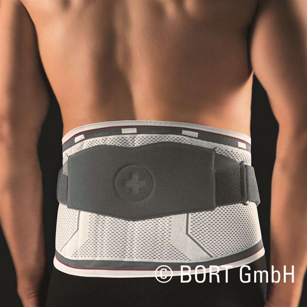 , immagine principale