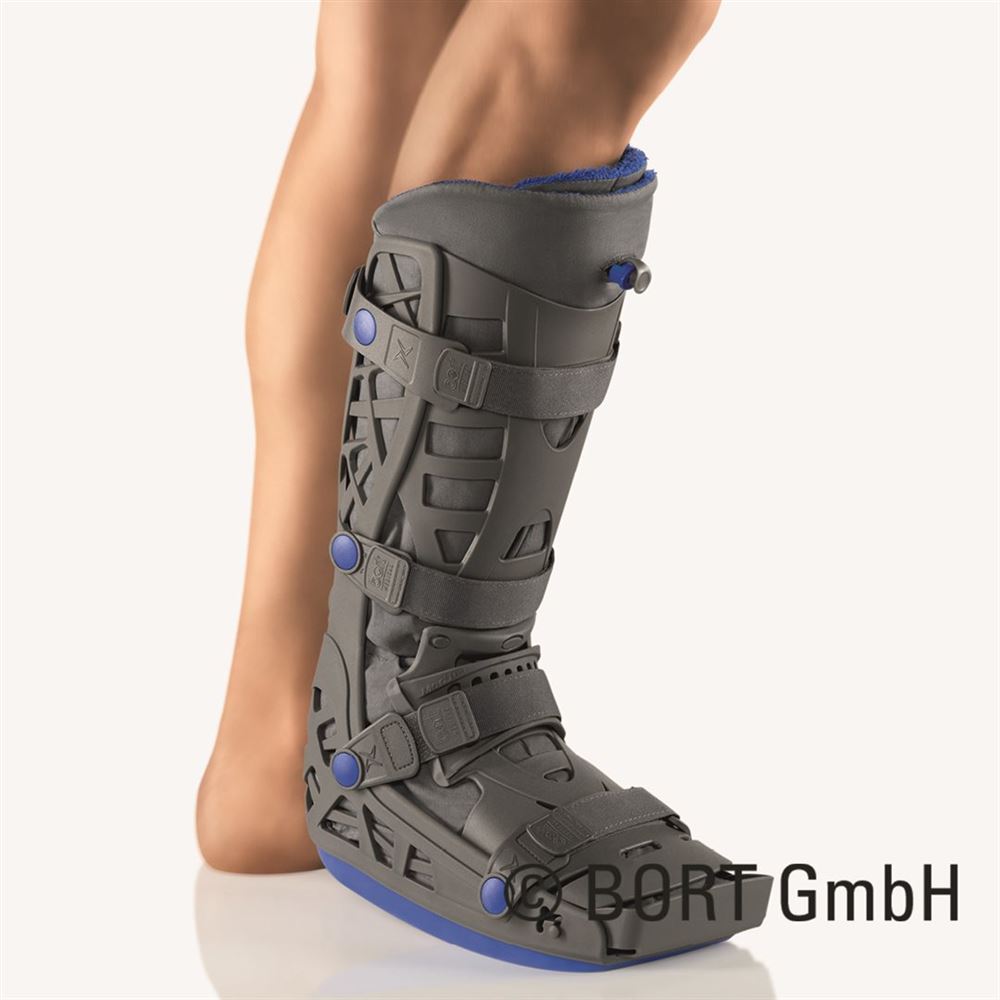 , immagine principale