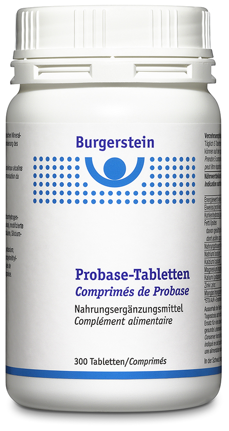BURGERSTEIN Probase, Hauptbild