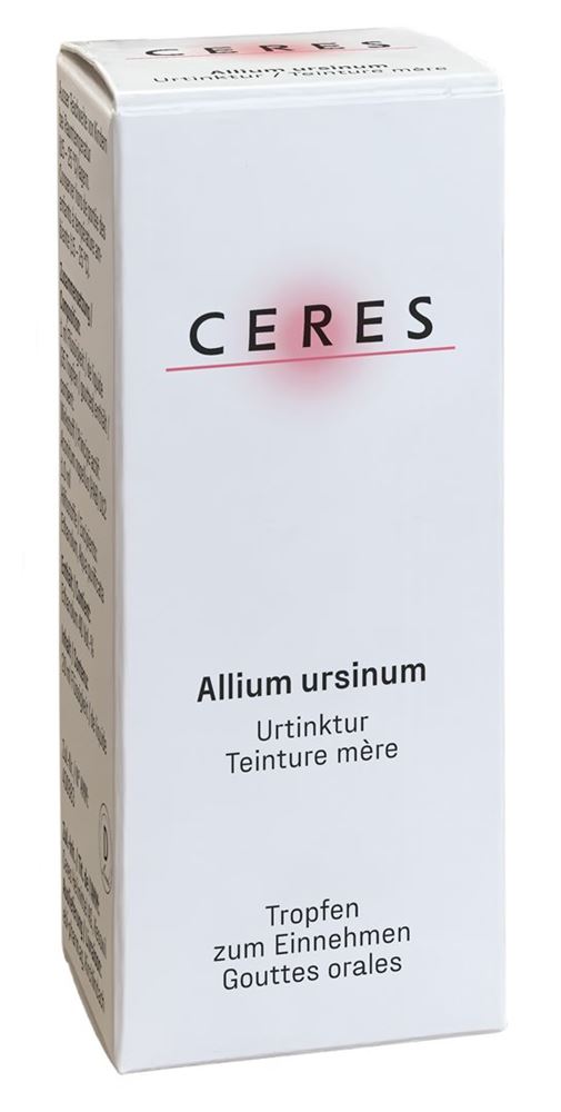 CERES Allium ursinum, Hauptbild
