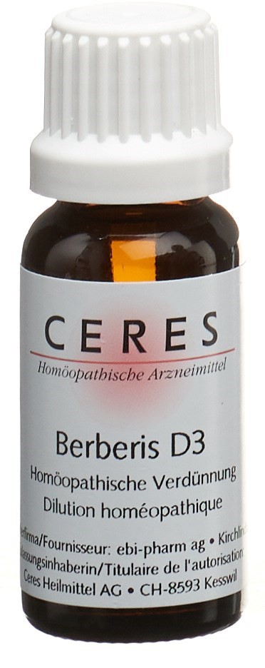 CERES Berberis 3 D, Hauptbild