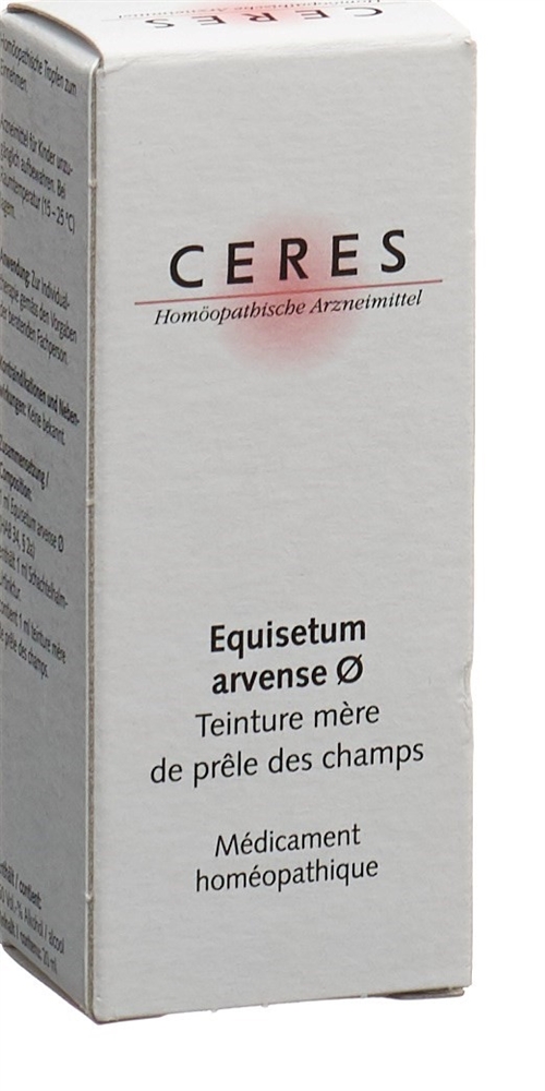CERES equisetum arvense, image 2 sur 2