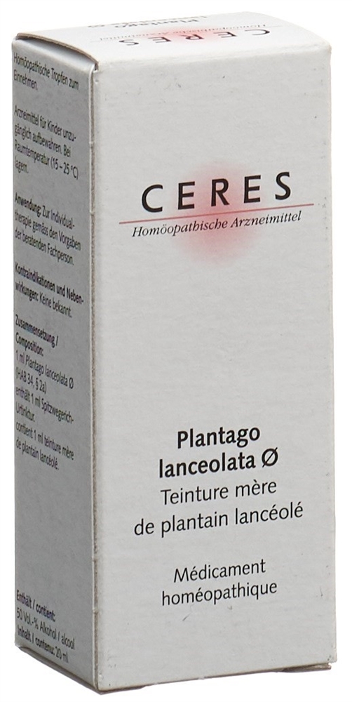 CERES plantago lanceolata, image 2 sur 2