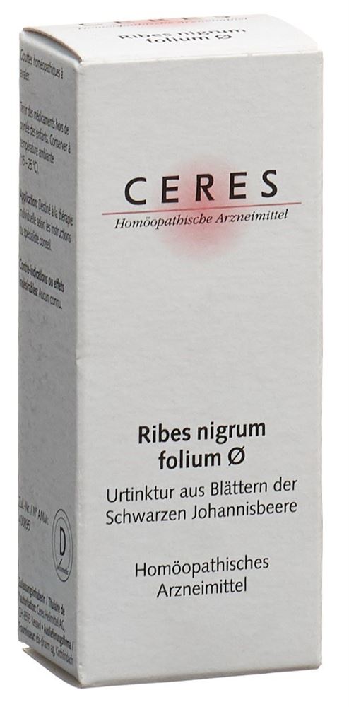 CERES Ribes nigrum folium