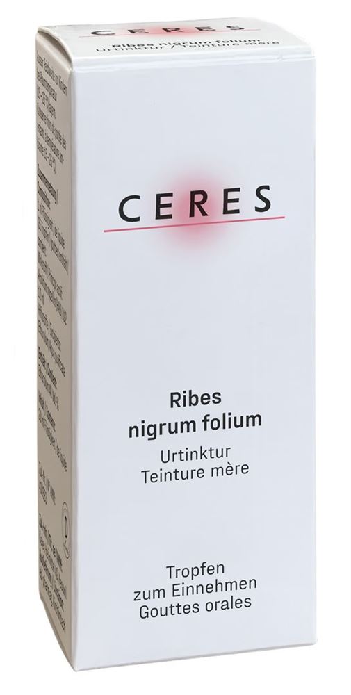 CERES Ribes nigrum folium, Hauptbild