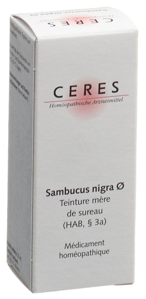 CERES sambucus nigra, image 2 sur 2