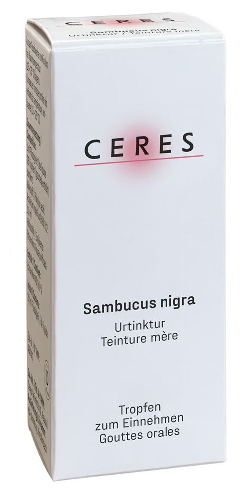 CERES Sambucus nigra, Hauptbild