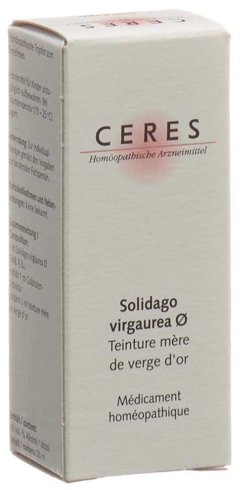 CERES Solidago, Bild 2 von 2
